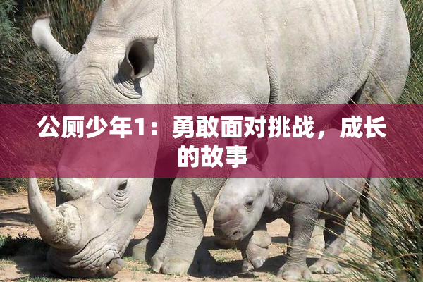公厕少年1：勇敢面对挑战，成长的故事