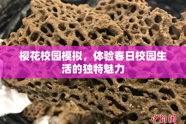 樱花校园模拟，体验春日校园生活的独特魅力