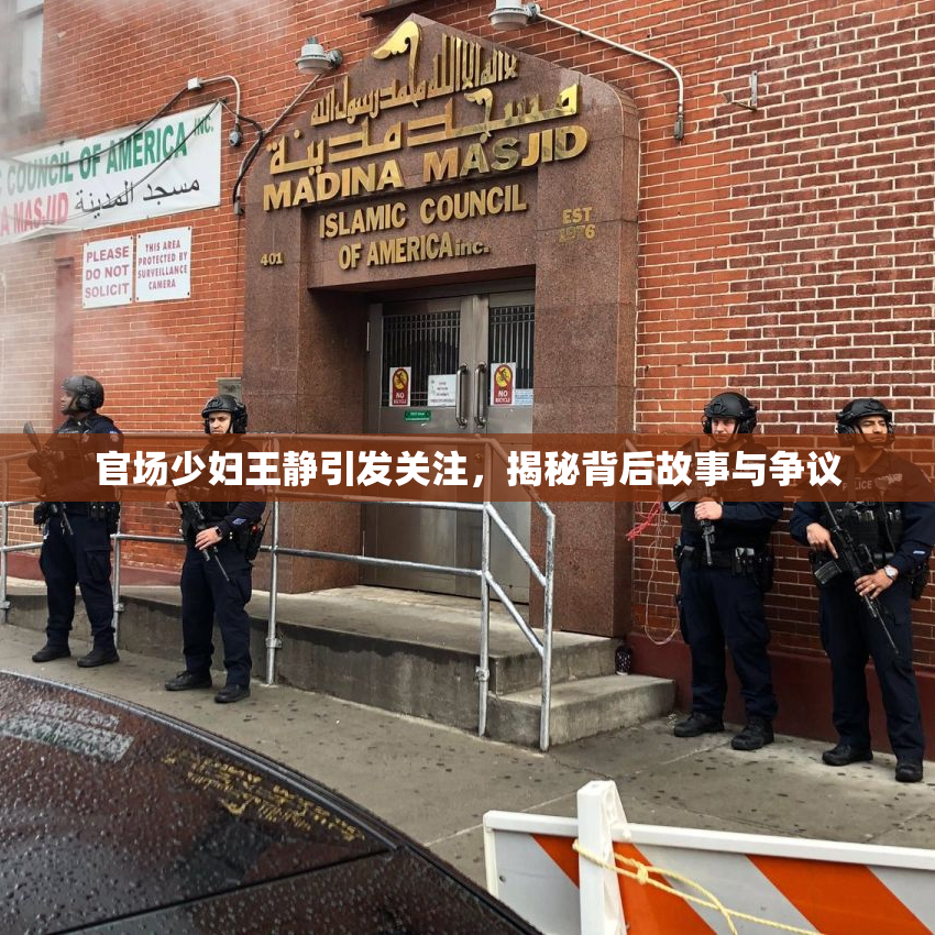 官场少妇王静引发关注，揭秘背后故事与争议