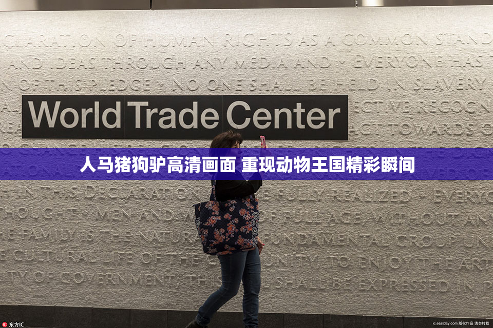 人马猪狗驴高清画面 重现动物王国精彩瞬间