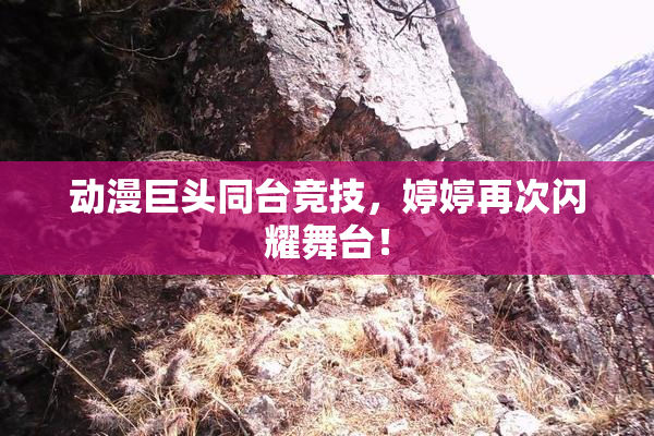 动漫巨头同台竞技，婷婷再次闪耀舞台！