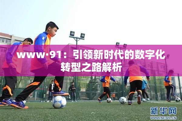 www·91：引领新时代的数字化转型之路解析