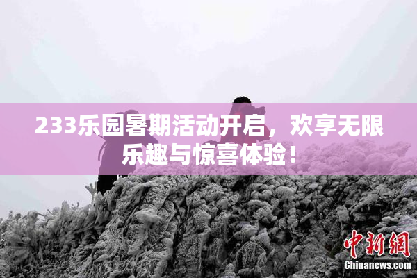 233乐园暑期活动开启，欢享无限乐趣与惊喜体验！