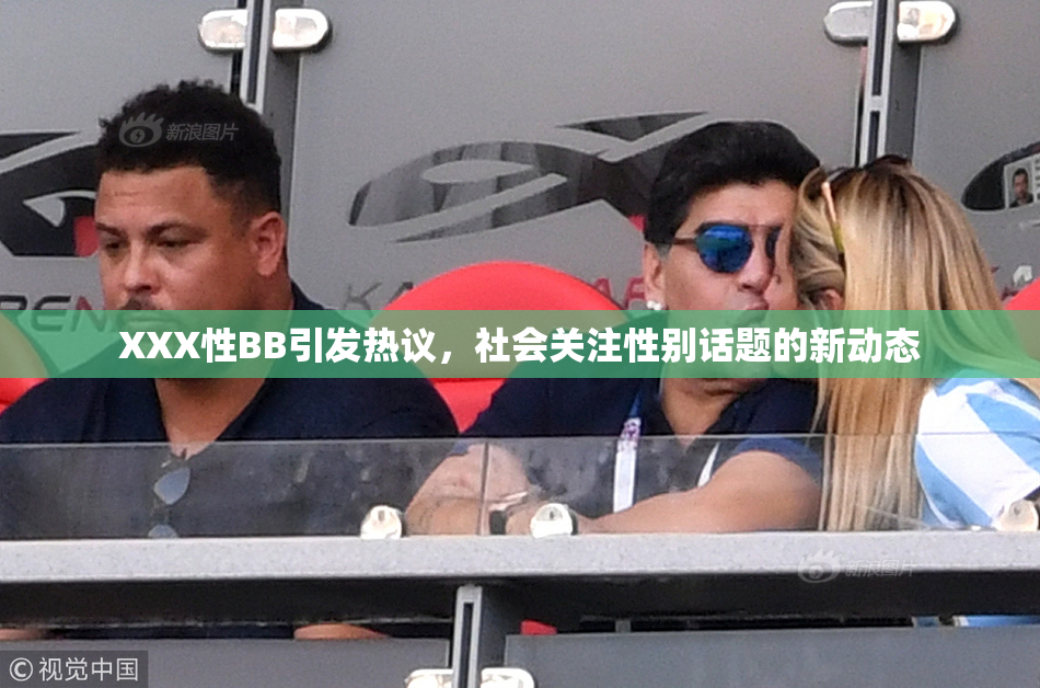 XXX性BB引发热议，社会关注性别话题的新动态