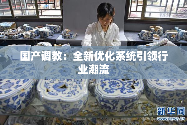 国产调教：全新优化系统引领行业潮流