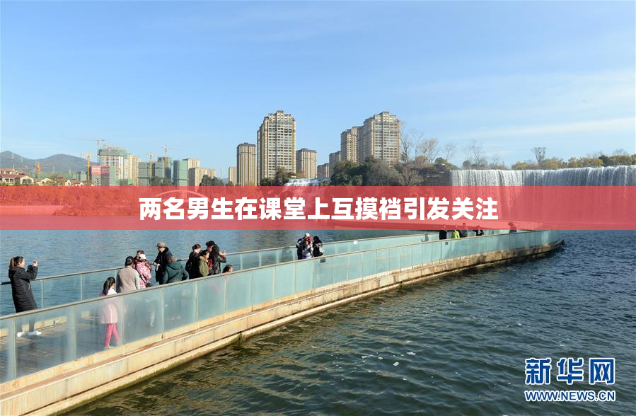 两名男生在课堂上互摸裆引发关注