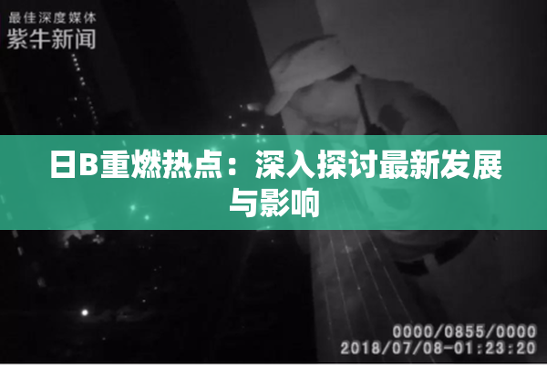 日B重燃热点：深入探讨最新发展与影响