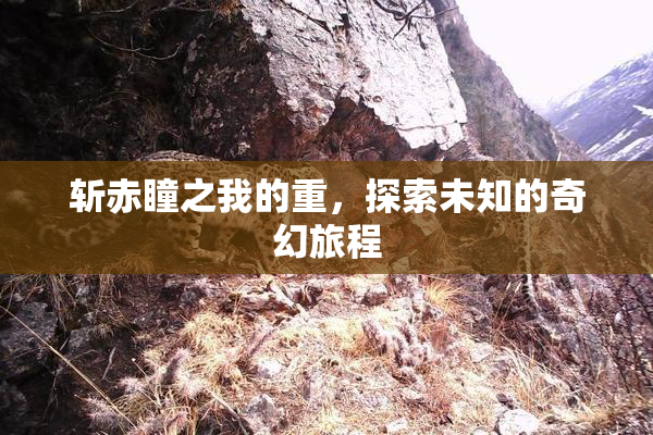 斩赤瞳之我的重，探索未知的奇幻旅程