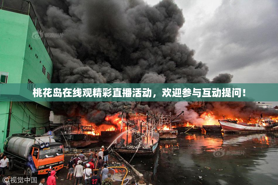 桃花岛在线观精彩直播活动，欢迎参与互动提问！