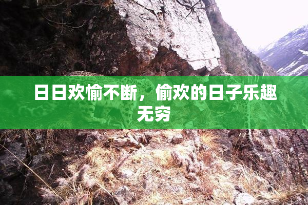 日日欢愉不断，偷欢的日子乐趣无穷