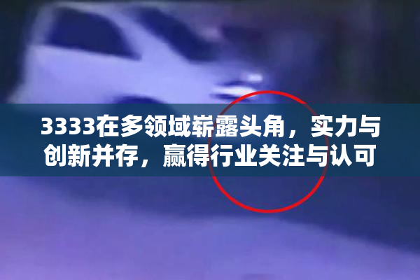 3333在多领域崭露头角，实力与创新并存，赢得行业关注与认可