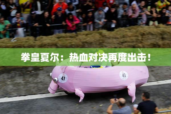 拳皇夏尔：热血对决再度出击！