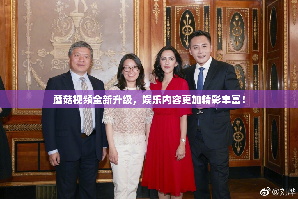 蘑菇视频全新升级，娱乐内容更加精彩丰富！
