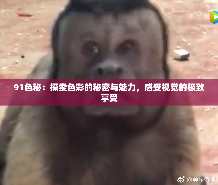 91色秘：探索色彩的秘密与魅力，感受视觉的极致享受