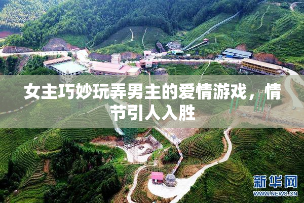 女主巧妙玩弄男主的爱情游戏，情节引人入胜