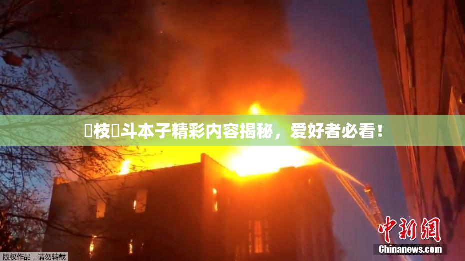 狛枝凪斗本子精彩内容揭秘，爱好者必看！