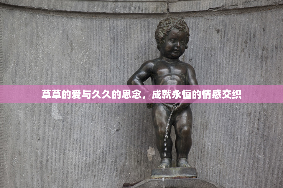 草草的爱与久久的思念，成就永恒的情感交织
