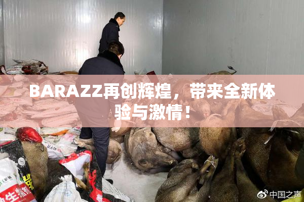 BARAZZ再创辉煌，带来全新体验与激情！