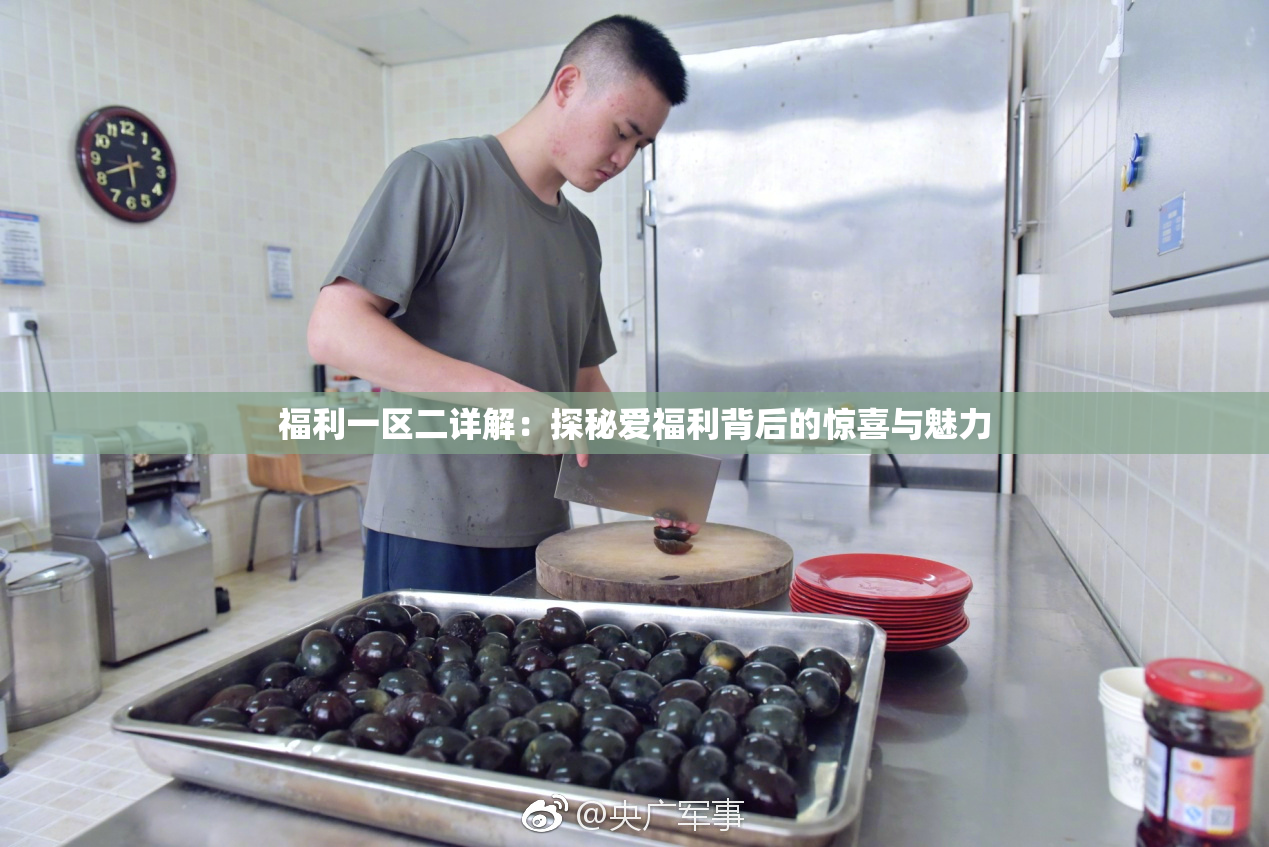 福利一区二详解：探秘爱福利背后的惊喜与魅力