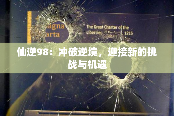 仙逆98：冲破逆境，迎接新的挑战与机遇
