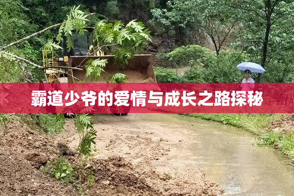 霸道少爷的爱情与成长之路探秘