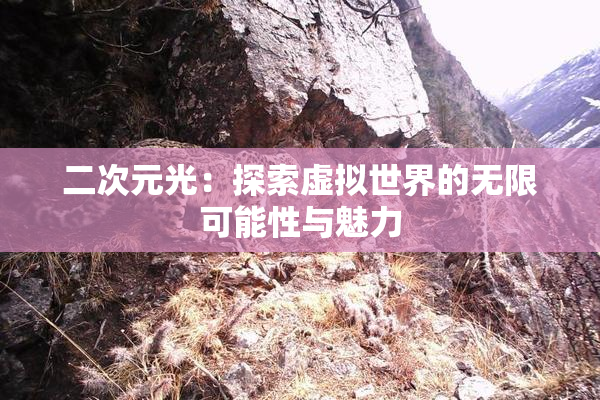 二次元光：探索虚拟世界的无限可能性与魅力