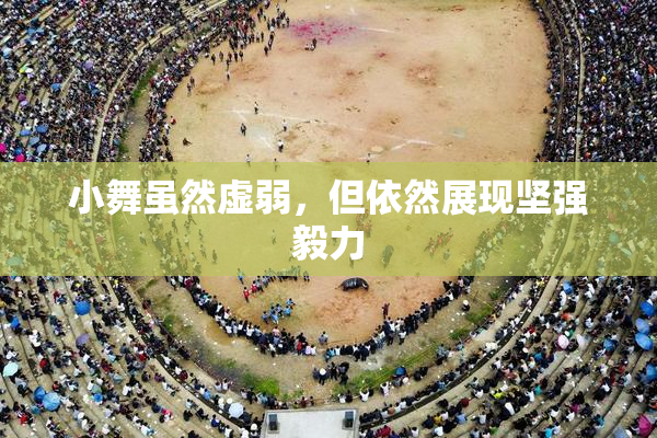 小舞虽然虚弱，但依然展现坚强毅力