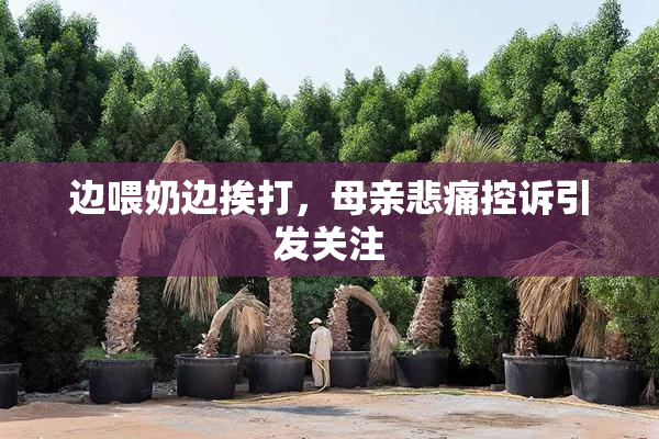 边喂奶边挨打，母亲悲痛控诉引发关注