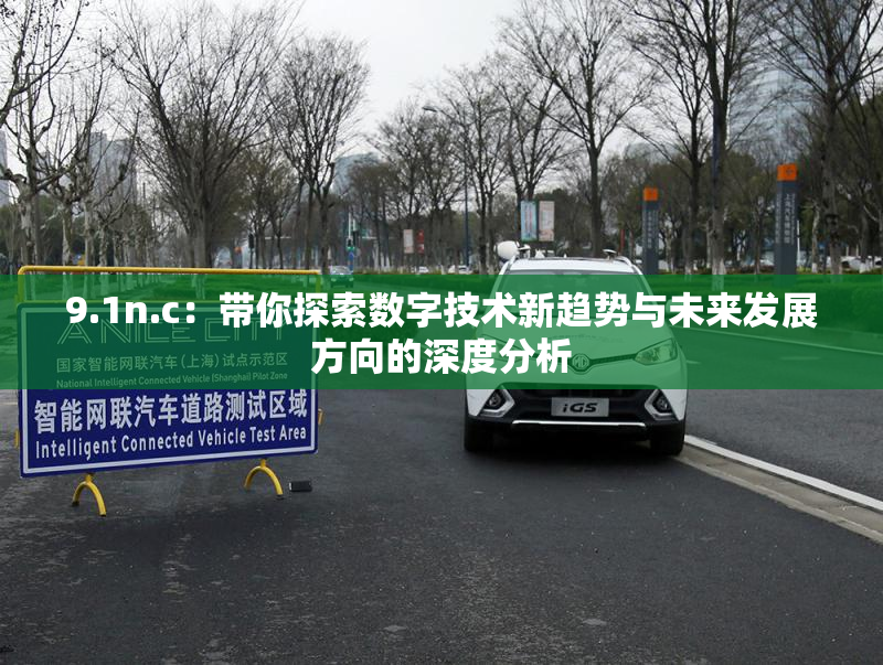 9.1n.c：带你探索数字技术新趋势与未来发展方向的深度分析