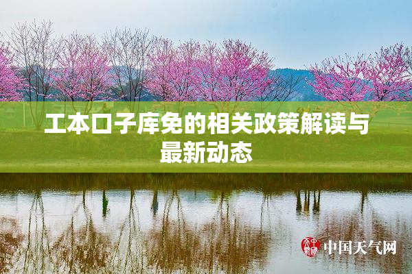 工本口子库免的相关政策解读与最新动态