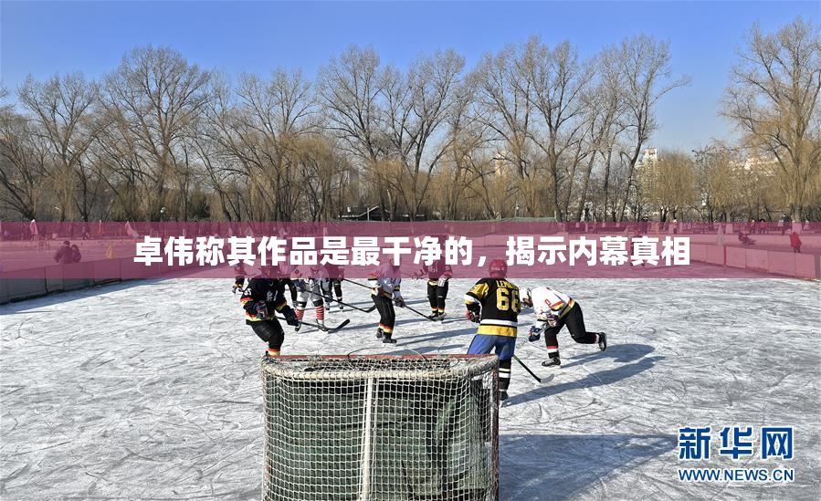 卓伟称其作品是最干净的，揭示内幕真相