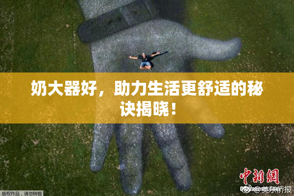 奶大器好，助力生活更舒适的秘诀揭晓！