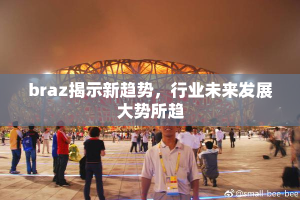 braz揭示新趋势，行业未来发展大势所趋