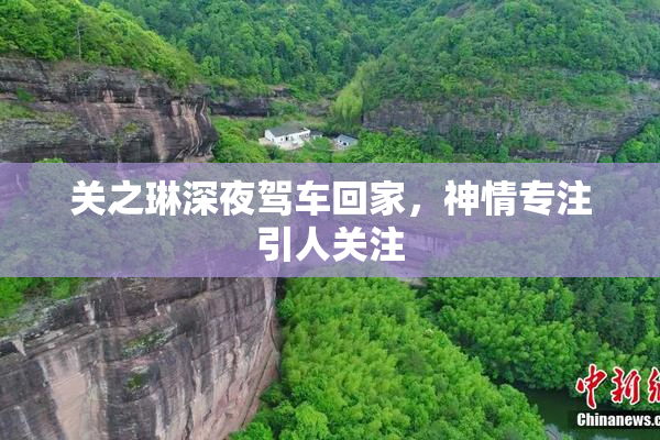 关之琳深夜驾车回家，神情专注引人关注