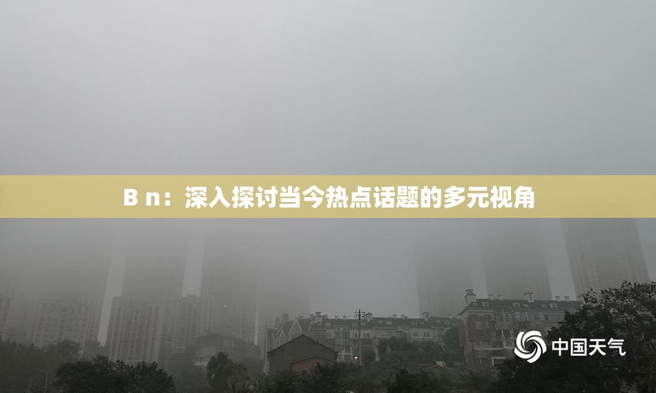 B n：深入探讨当今热点话题的多元视角