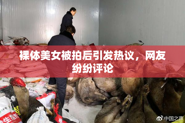 裸体美女被拍后引发热议，网友纷纷评论