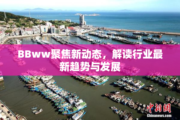 BBww聚焦新动态，解读行业最新趋势与发展