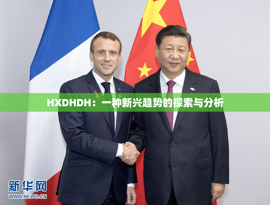 HXDHDH：一种新兴趋势的探索与分析