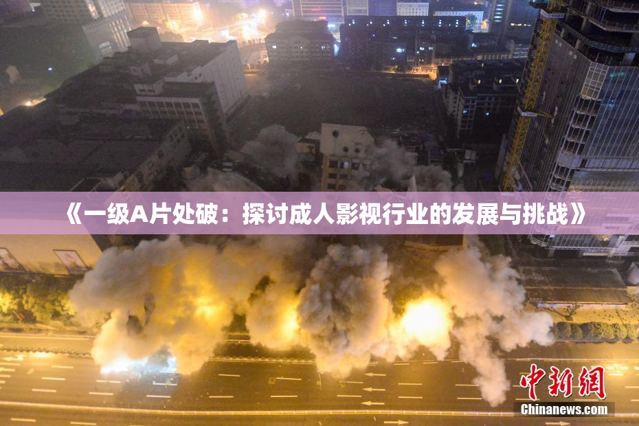 《一级A片处破：探讨成人影视行业的发展与挑战》