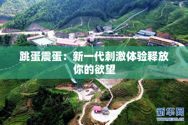 跳蛋震蛋：新一代刺激体验释放你的欲望