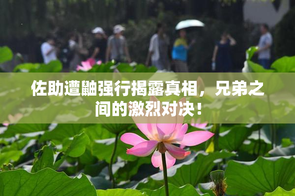 佐助遭鼬强行揭露真相，兄弟之间的激烈对决！