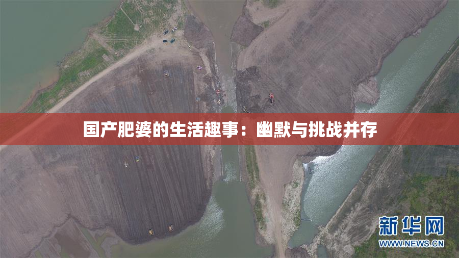 国产肥婆的生活趣事：幽默与挑战并存