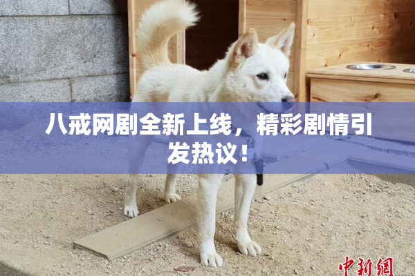 八戒网剧全新上线，精彩剧情引发热议！