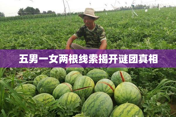 五男一女两根线索揭开谜团真相