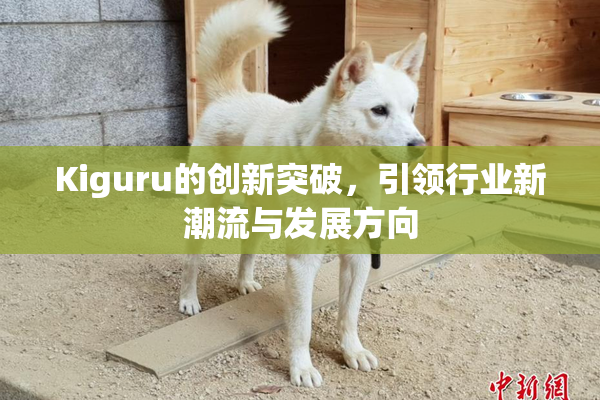 Kiguru的创新突破，引领行业新潮流与发展方向
