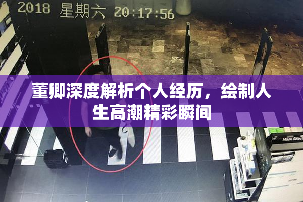 董卿深度解析个人经历，绘制人生高潮精彩瞬间