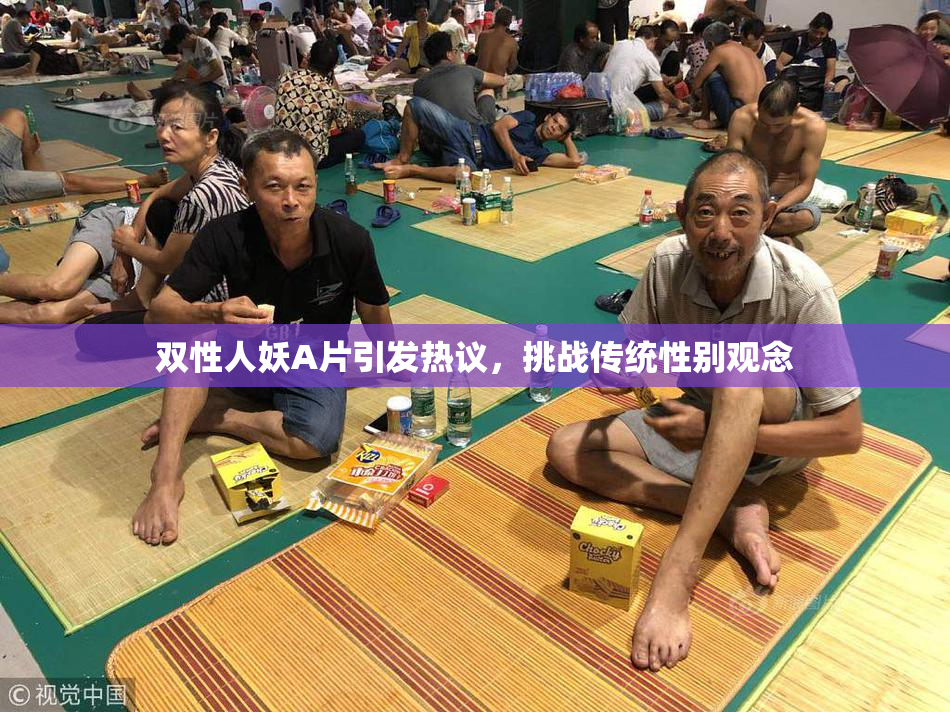 双性人妖A片引发热议，挑战传统性别观念