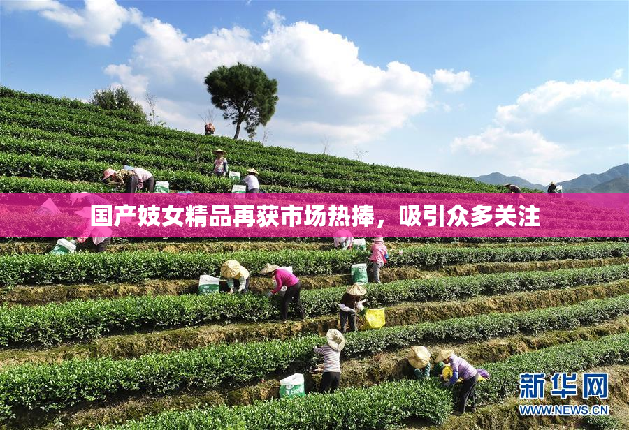 国产妓女精品再获市场热捧，吸引众多关注