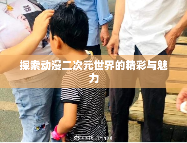 探索动漫二次元世界的精彩与魅力