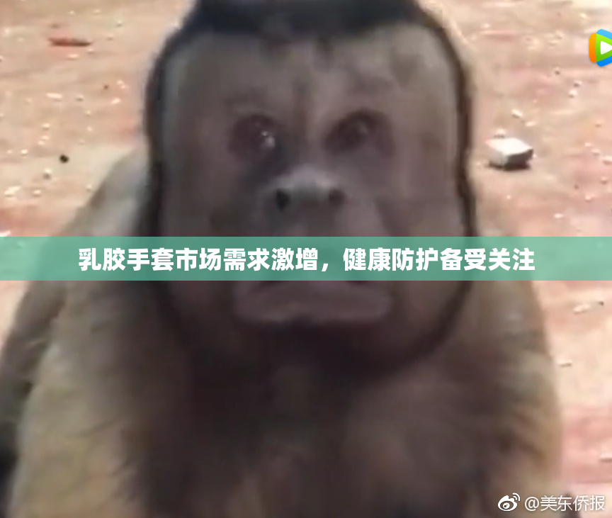 乳胶手套市场需求激增，健康防护备受关注